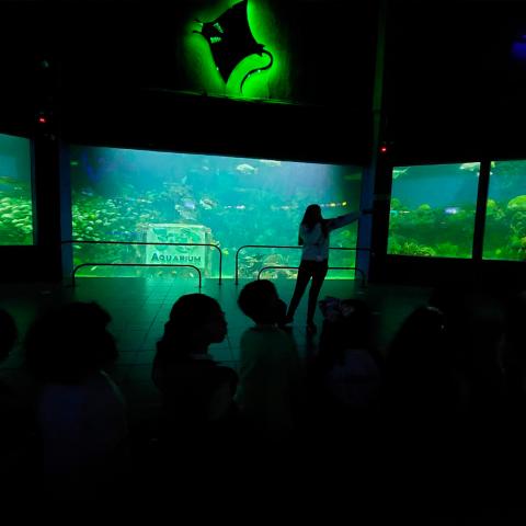 Alumnos de preescolar en el Aquarium Veracruz