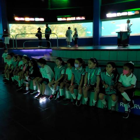 Alumnos de preescolar en el Aquarium Veracruz