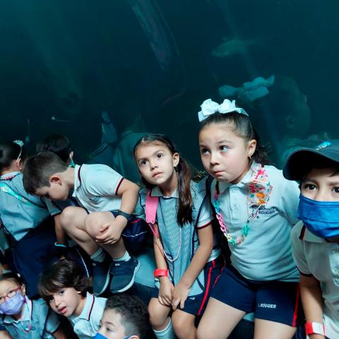 Alumnos de preescolar en el Aquarium Veracruz