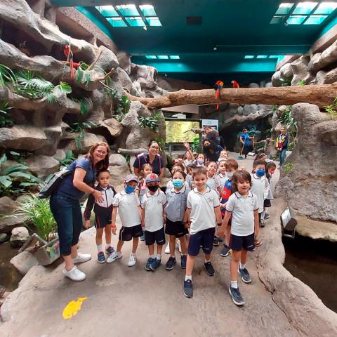 Alumnos de preescolar en el Aquarium Veracruz